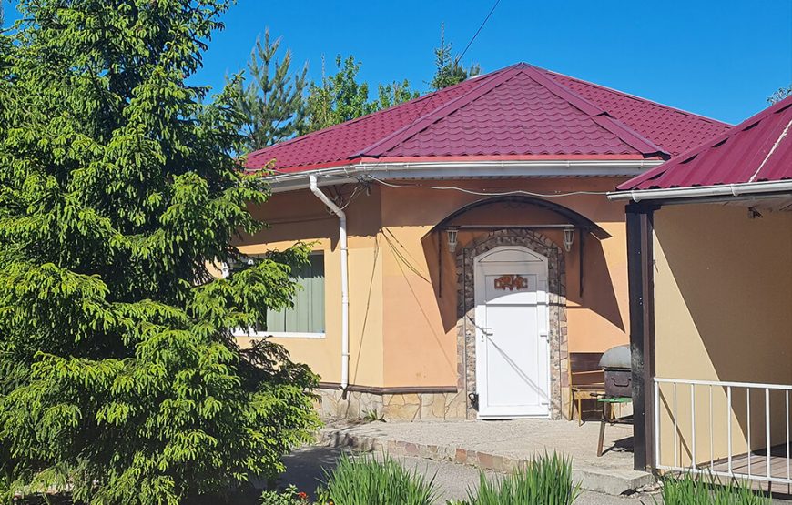 Коттедж Дранишники